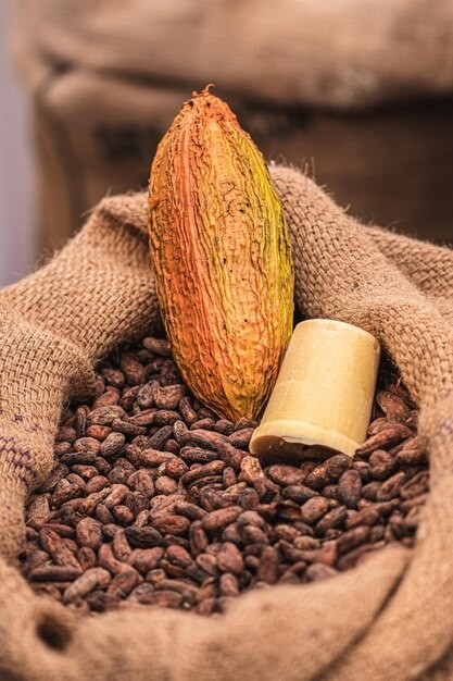 Découvrez C'est en gros