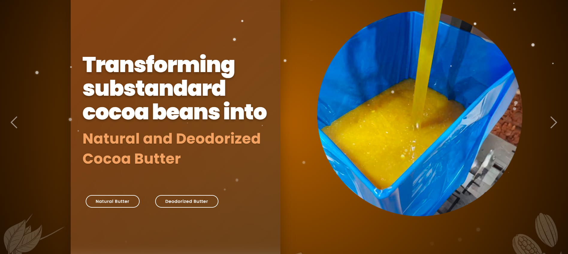 Développement de la plateforme Web de l'entreprise industrielle ICWP