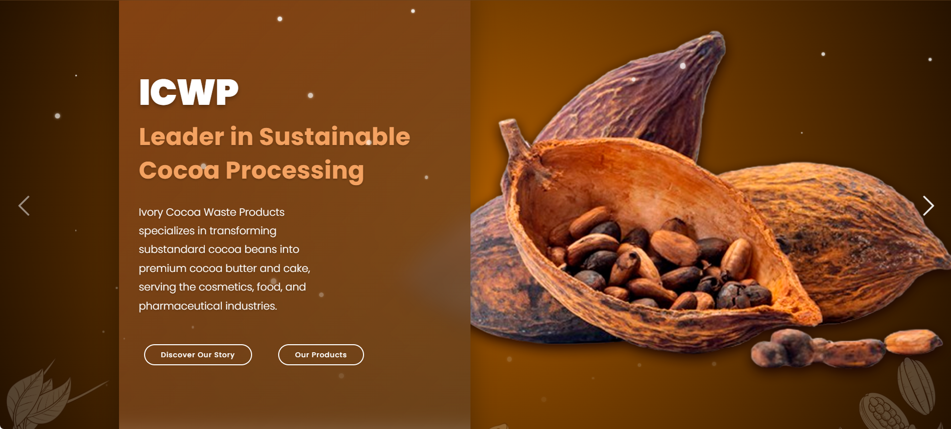 Développement de la plateforme Web de l'entreprise industrielle ICWP